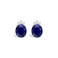 Blue Sparkling Halo 925 Silver Stud Earrings
